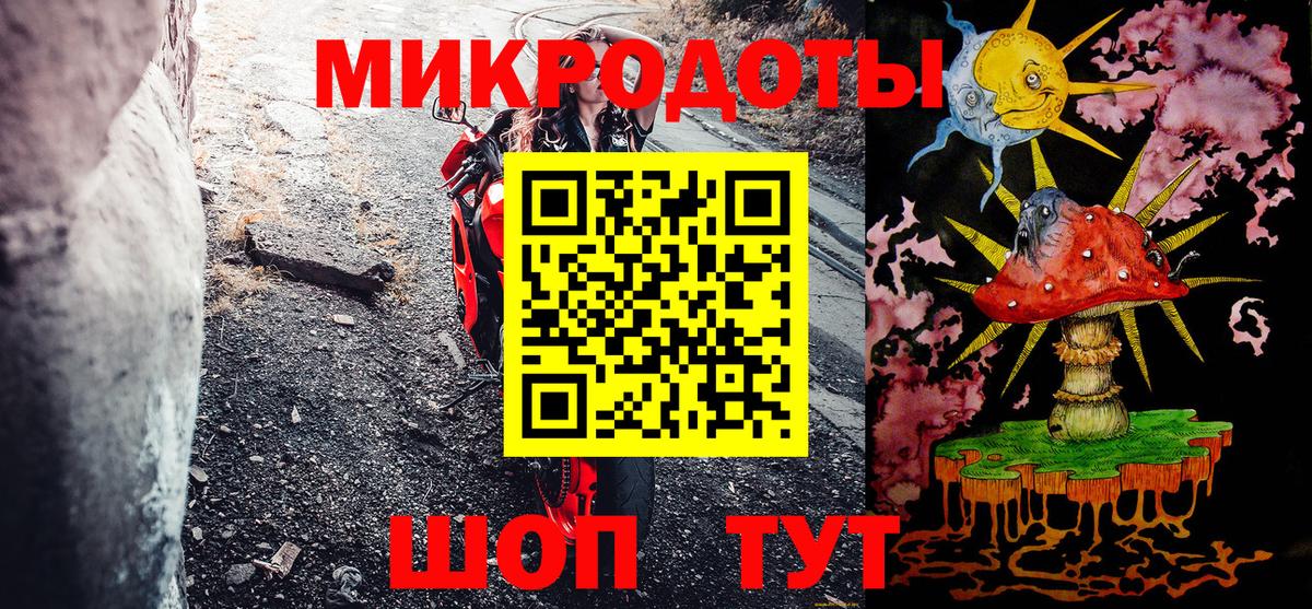 Кстово  Псилоцибиновые грибы Psilocybine cubensis  Вход с VPN 