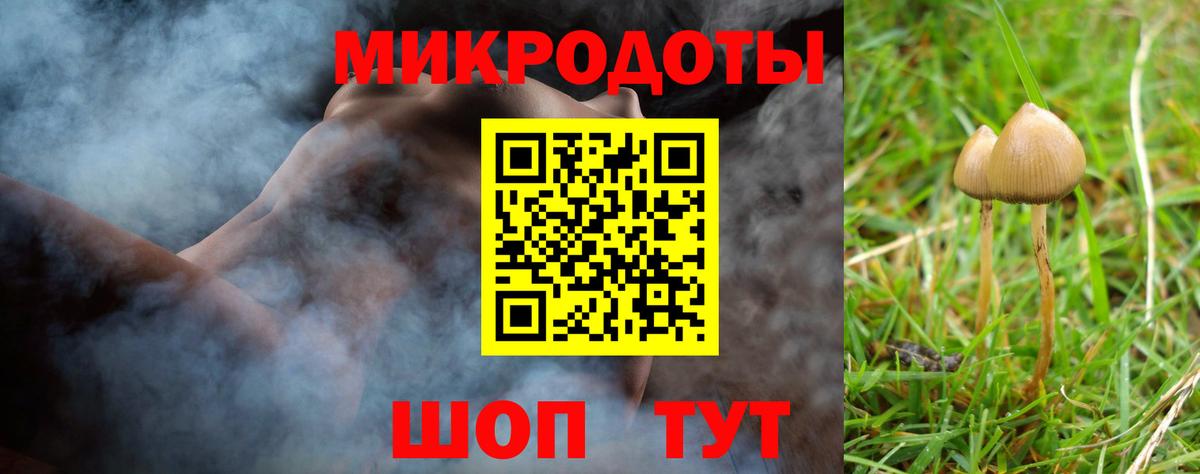 Галлюциногенные грибы ЛСД Кстово
